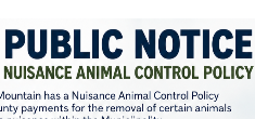 notice img