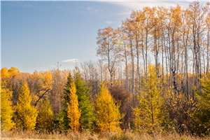 46484fdc-6f55-4e41-9e76-57d5e5137713.jpg